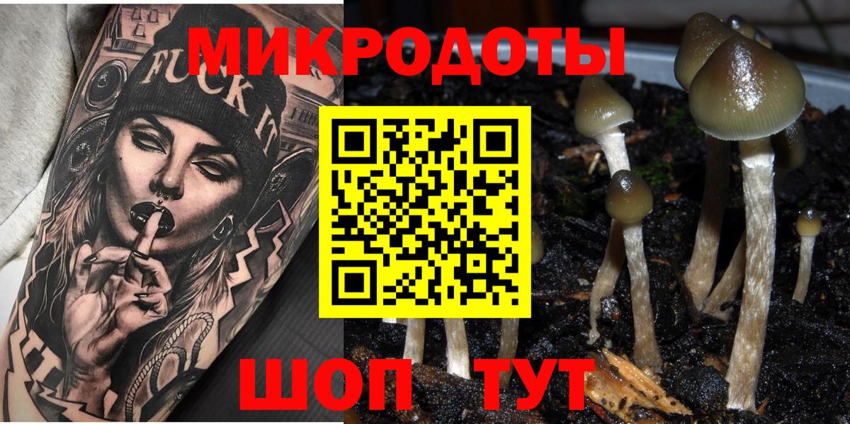 Галлюциногенные грибы прущие грибы Сыктывкар