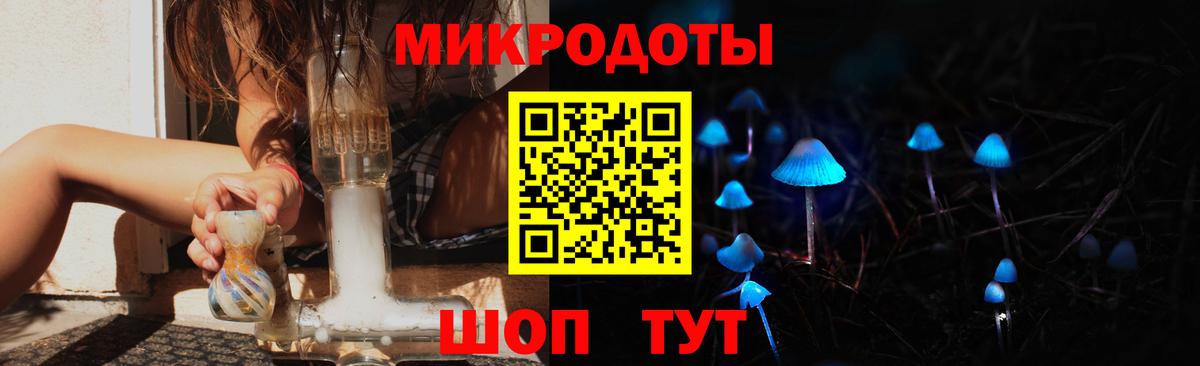 Галлюциногенные грибы Psilocybe  что такое   Сыктывкар  Вход с VPN 